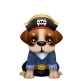 Pirate Pup