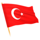 Flag Icon TR