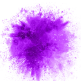 Holi Purple