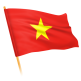 Flag Icon VN