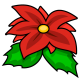 Poinsettia