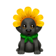 Sunflower Pup