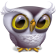 Extra Superb Owl