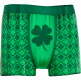 Shamrock Boxers