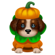 Pumpkin Pup