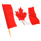 Flag Icon CA