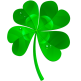 Green Shamrock Flair