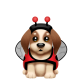 Ladybug Pup