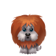 Lion Pup