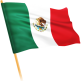 Mexico Flag Flair